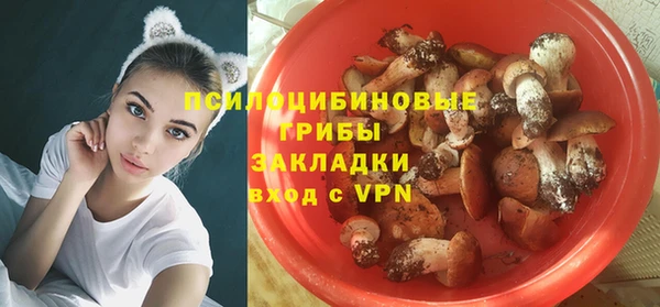 марихуана Гусиноозёрск