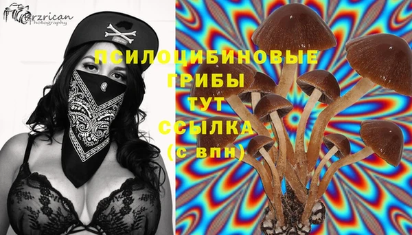 меф VHQ Гусев